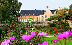 Château de la Barre Hotel Loire